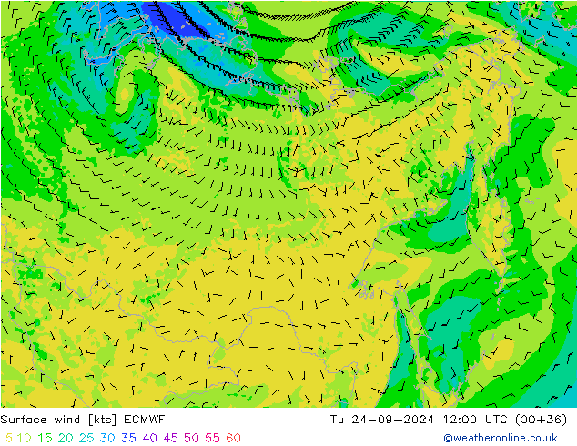 ветер 10 m ECMWF вт 24.09.2024 12 UTC