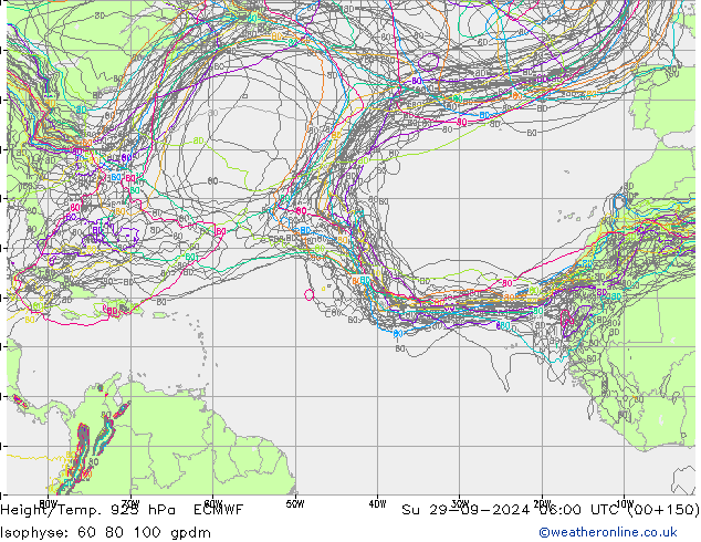 Géop./Temp. 925 hPa ECMWF dim 29.09.2024 06 UTC