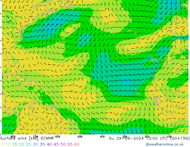 Surface wind ECMWF Su 29.09.2024 12 UTC