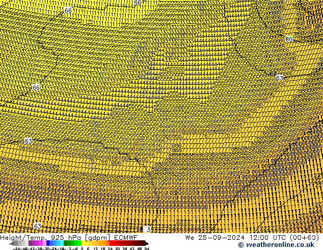 Height/Temp. 925 hPa ECMWF śro. 25.09.2024 12 UTC