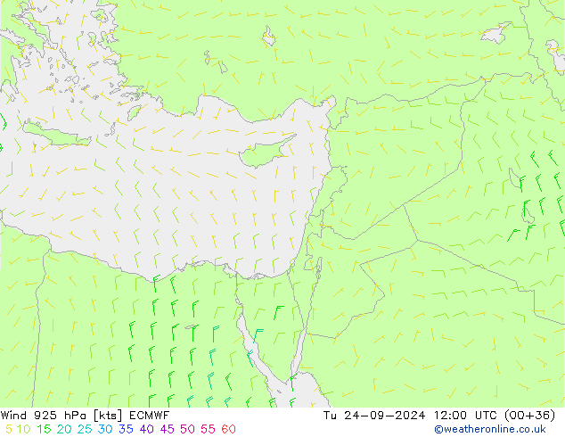 Vent 925 hPa ECMWF mar 24.09.2024 12 UTC