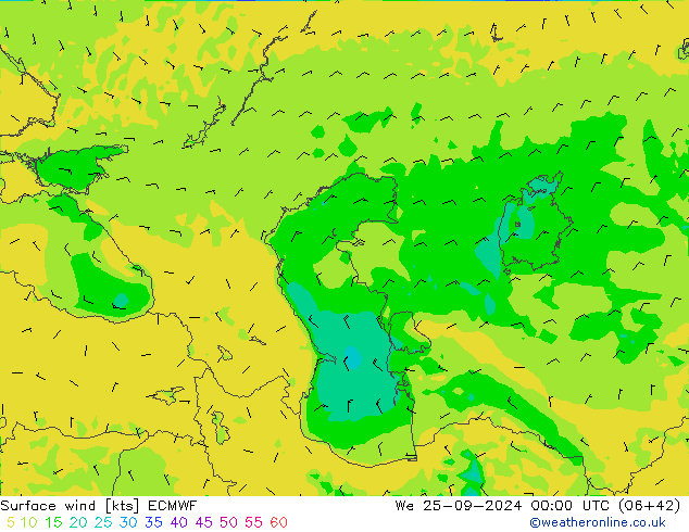 Surface wind ECMWF We 25.09.2024 00 UTC