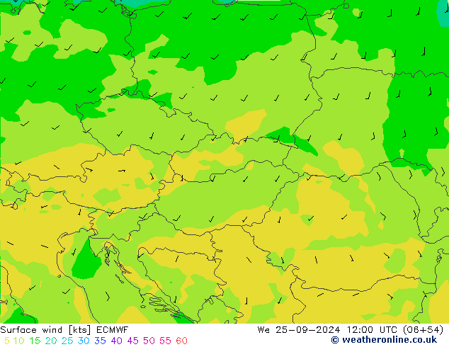 Surface wind ECMWF We 25.09.2024 12 UTC