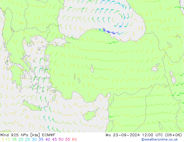 Rüzgar 925 hPa ECMWF Pzt 23.09.2024 12 UTC