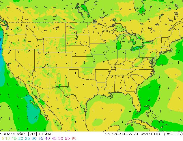 ветер 10 m ECMWF сб 28.09.2024 06 UTC