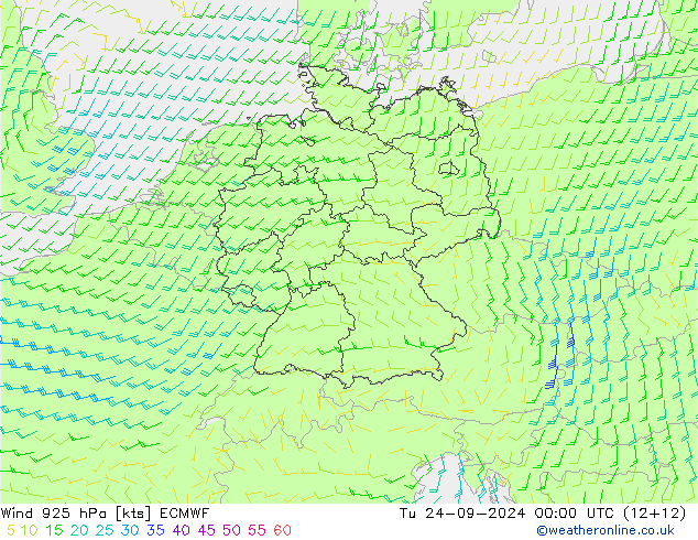 ветер 925 гПа ECMWF вт 24.09.2024 00 UTC
