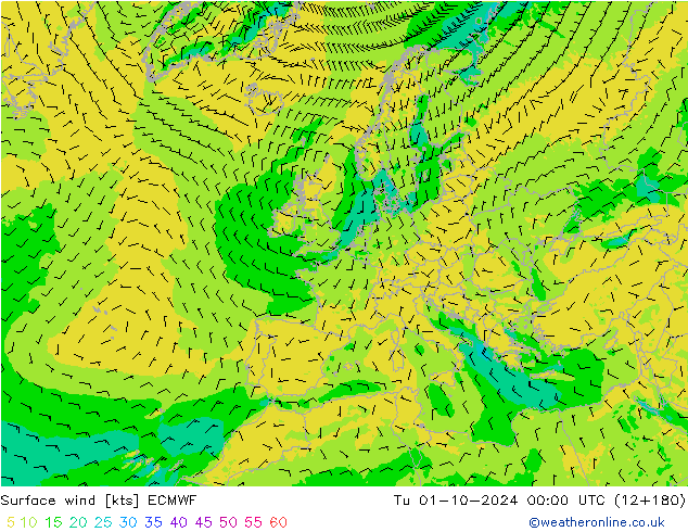 Bodenwind ECMWF Di 01.10.2024 00 UTC