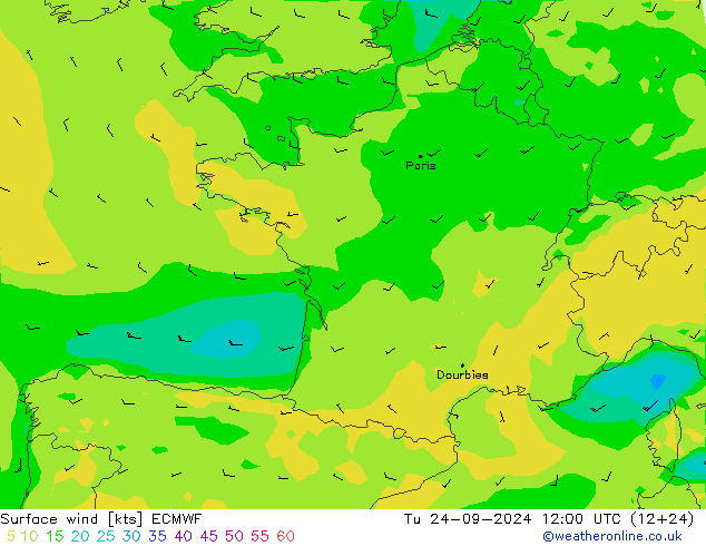 Bodenwind ECMWF Di 24.09.2024 12 UTC