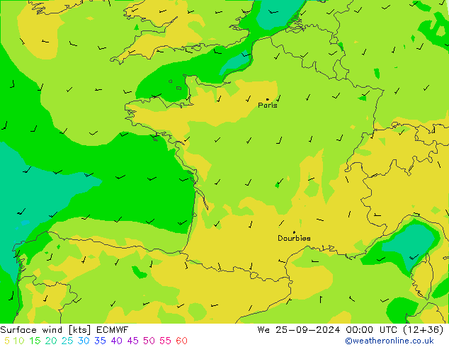 Surface wind ECMWF We 25.09.2024 00 UTC