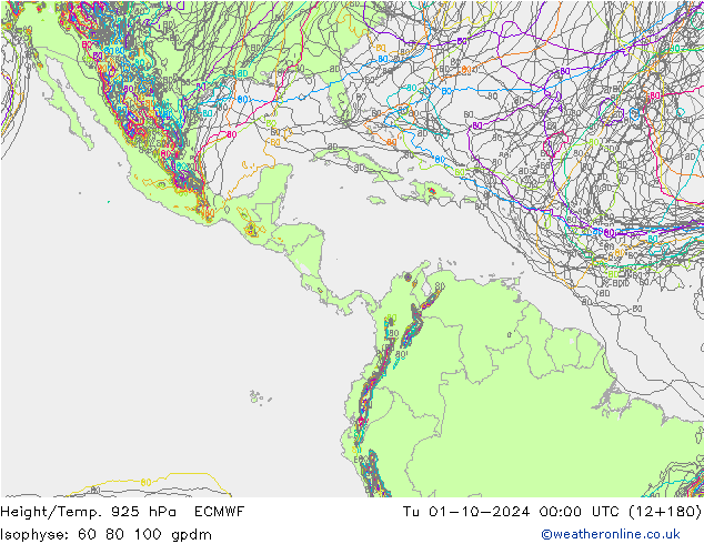 Yükseklik/Sıc. 925 hPa ECMWF Sa 01.10.2024 00 UTC