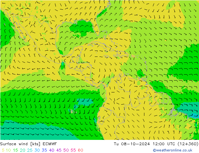 Viento 10 m ECMWF mar 08.10.2024 12 UTC