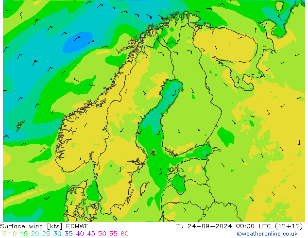 Surface wind ECMWF Tu 24.09.2024 00 UTC