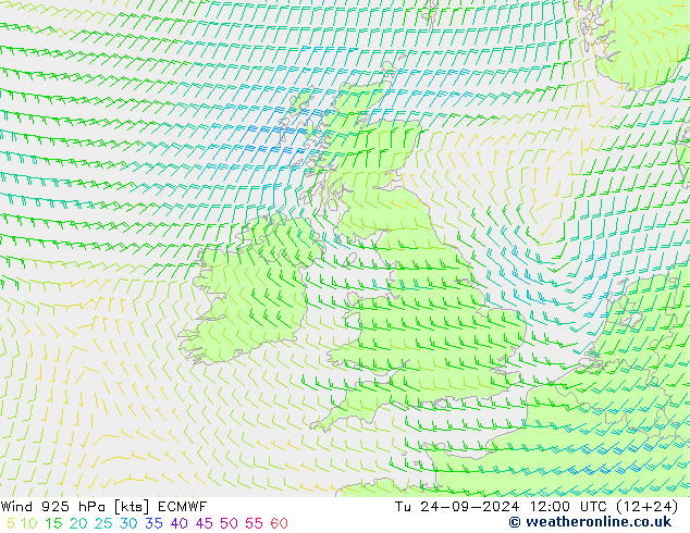 Wind 925 hPa ECMWF Tu 24.09.2024 12 UTC