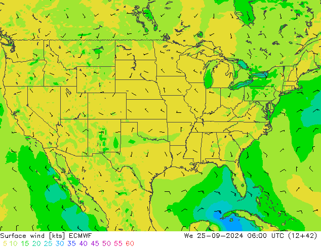 Surface wind ECMWF We 25.09.2024 06 UTC