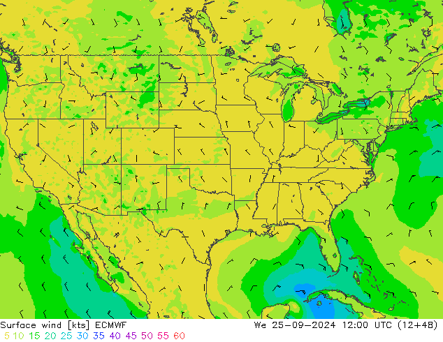 wiatr 10 m ECMWF śro. 25.09.2024 12 UTC