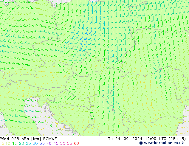 Wind 925 hPa ECMWF Tu 24.09.2024 12 UTC