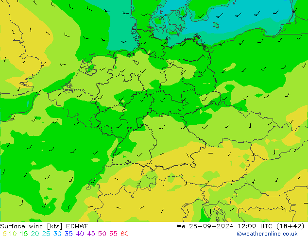 Surface wind ECMWF We 25.09.2024 12 UTC