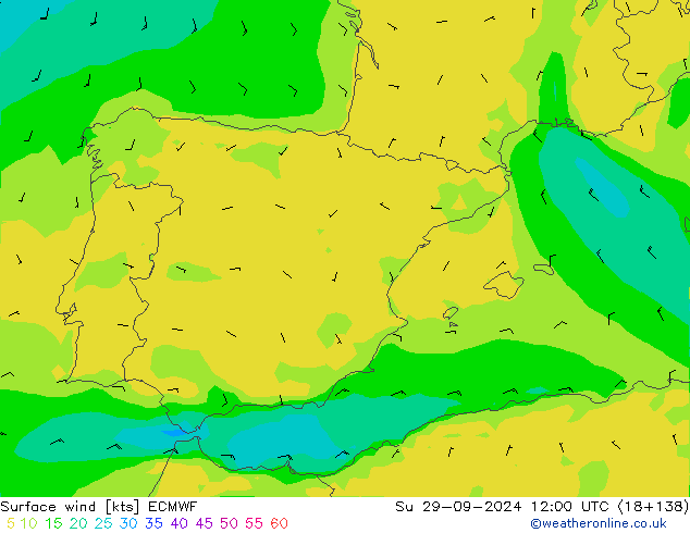 Surface wind ECMWF Ne 29.09.2024 12 UTC