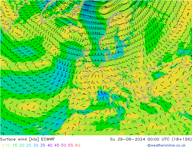 Surface wind ECMWF Su 29.09.2024 00 UTC