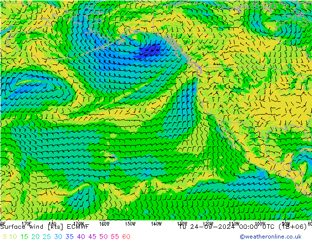 Bodenwind ECMWF Di 24.09.2024 00 UTC