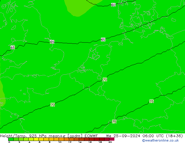 Height/Temp. 925 hPa ECMWF śro. 25.09.2024 06 UTC