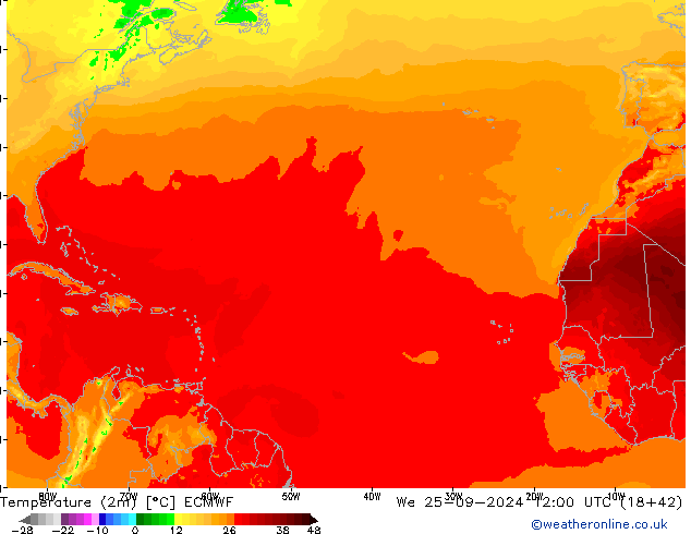 mapa temperatury (2m) ECMWF śro. 25.09.2024 12 UTC