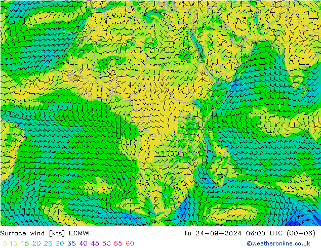 Surface wind ECMWF Tu 24.09.2024 06 UTC