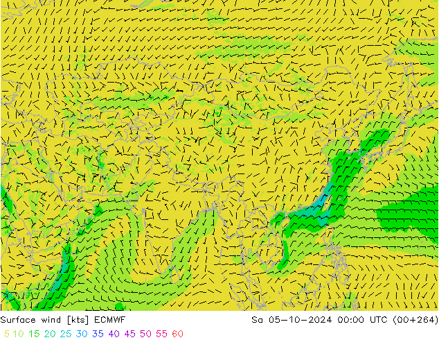 Wind 10 m ECMWF za 05.10.2024 00 UTC