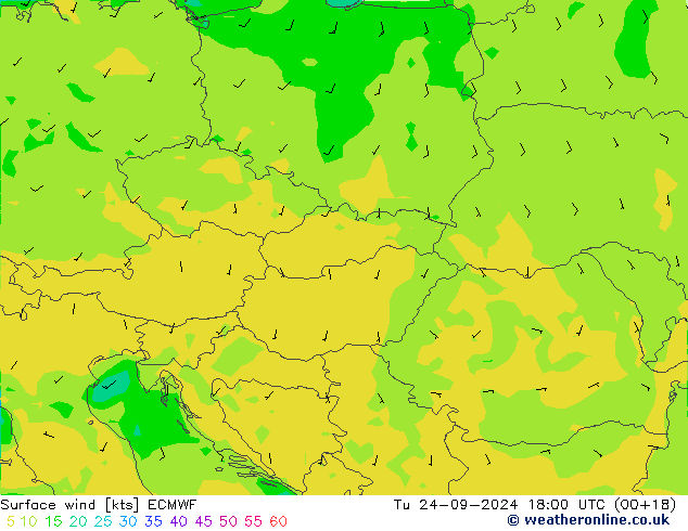 Bodenwind ECMWF Di 24.09.2024 18 UTC