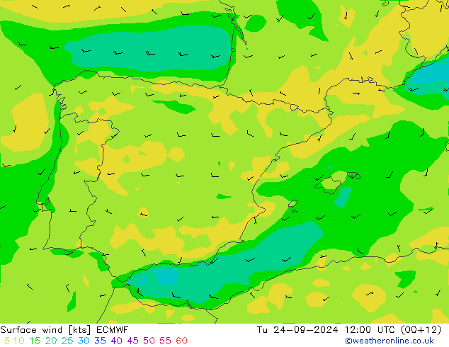 Vent 10 m ECMWF mar 24.09.2024 12 UTC