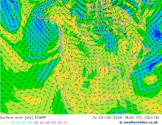 Surface wind ECMWF Tu 24.09.2024 18 UTC