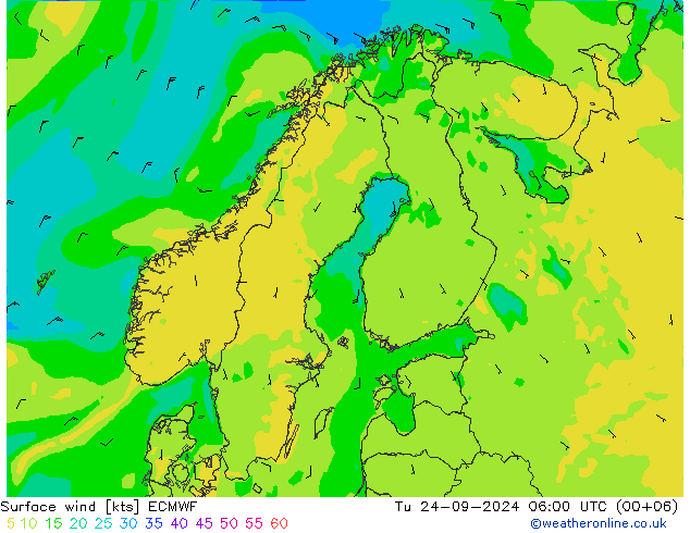 ветер 10 m ECMWF вт 24.09.2024 06 UTC