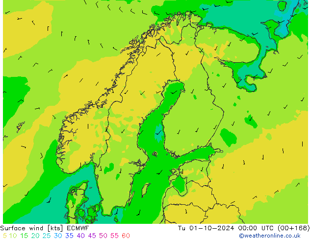 Surface wind ECMWF Tu 01.10.2024 00 UTC