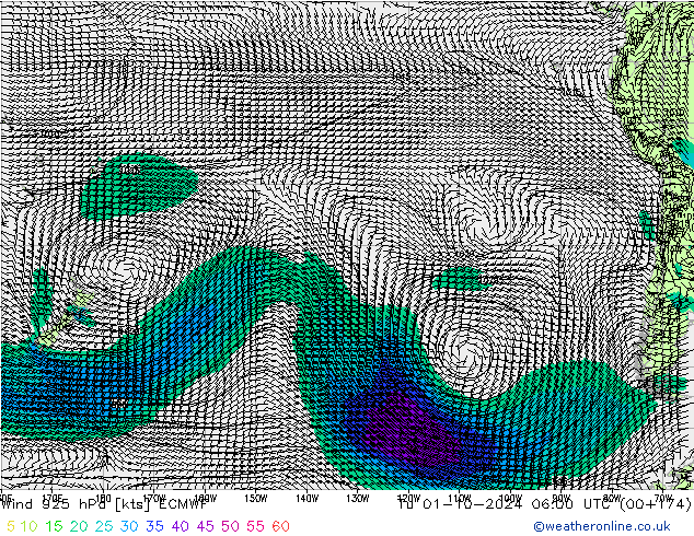 ветер 925 гПа ECMWF вт 01.10.2024 06 UTC