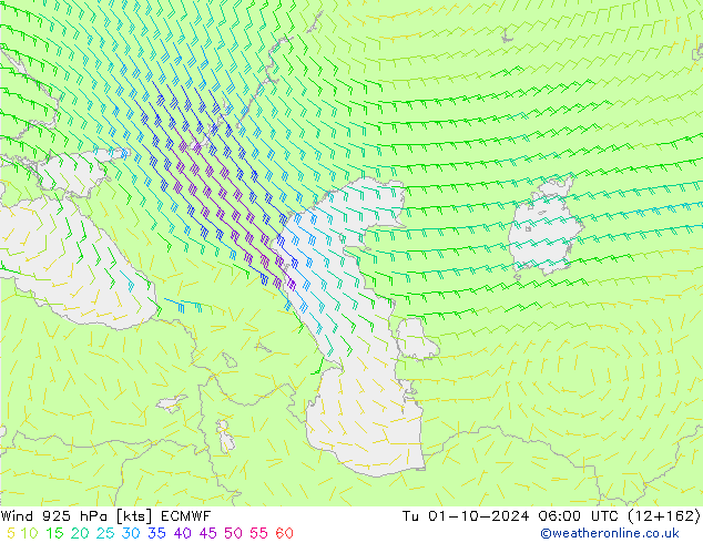 ветер 925 гПа ECMWF вт 01.10.2024 06 UTC