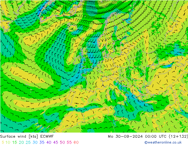 Surface wind ECMWF Mo 30.09.2024 00 UTC