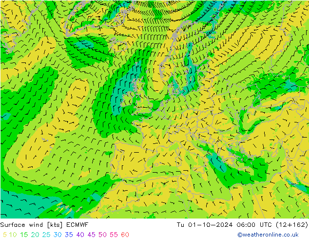 Wind 10 m ECMWF di 01.10.2024 06 UTC