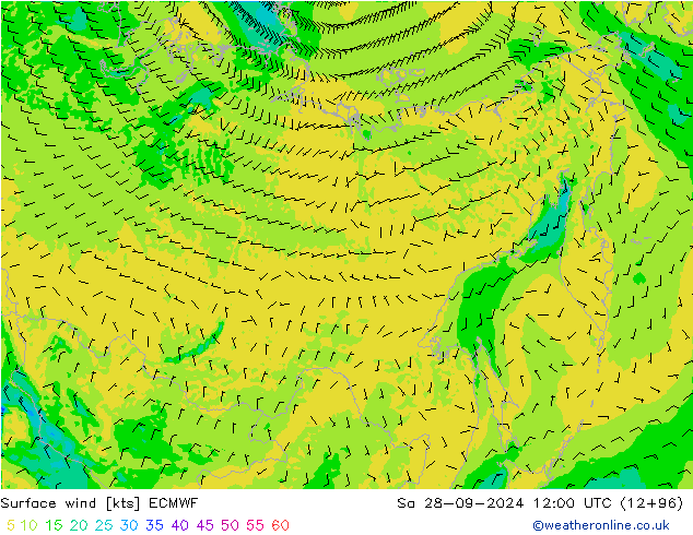 Surface wind ECMWF Sa 28.09.2024 12 UTC