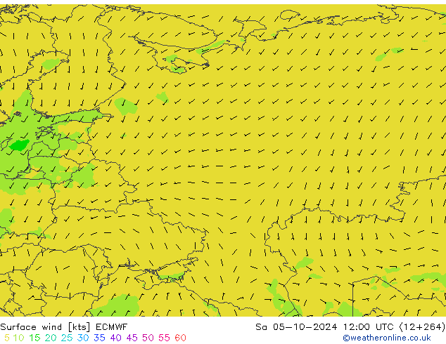 Surface wind ECMWF So 05.10.2024 12 UTC