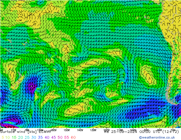 Rüzgar 10 m ECMWF Çar 25.09.2024 00 UTC