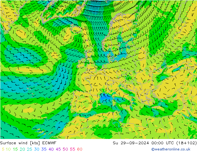 ветер 10 m ECMWF Вс 29.09.2024 00 UTC