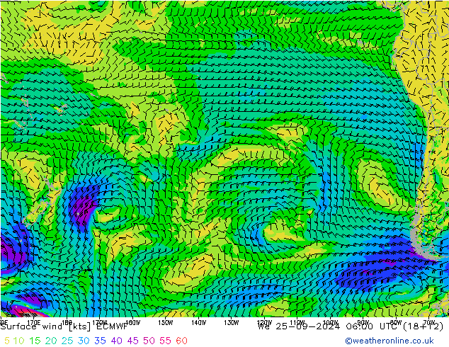 Surface wind ECMWF We 25.09.2024 06 UTC