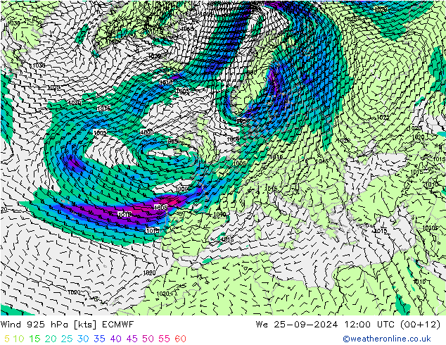 Wind 925 hPa ECMWF Mi 25.09.2024 12 UTC