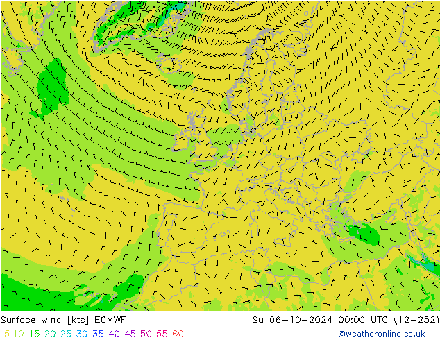 Surface wind ECMWF Su 06.10.2024 00 UTC