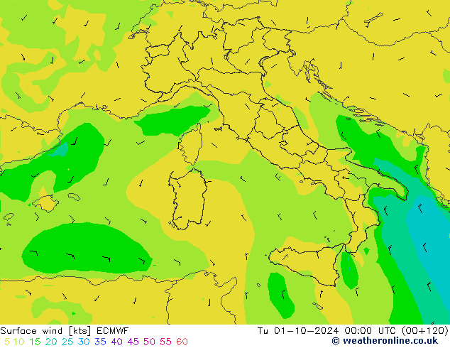 Surface wind ECMWF Tu 01.10.2024 00 UTC