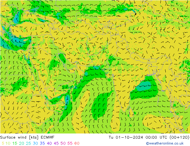 Surface wind ECMWF Tu 01.10.2024 00 UTC