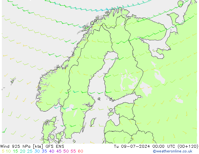 风 925 hPa GFS ENS 星期二 09.07.2024 00 UTC