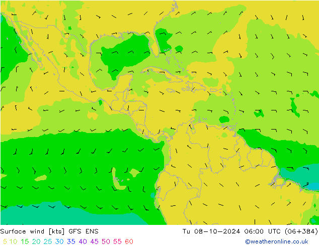 Surface wind GFS ENS Tu 08.10.2024 06 UTC