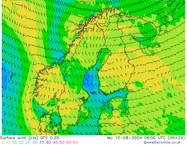 Wind 10 m GFS 0.25 ma 12.08.2024 06 UTC