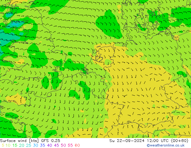 Bodenwind GFS 0.25 So 22.09.2024 12 UTC